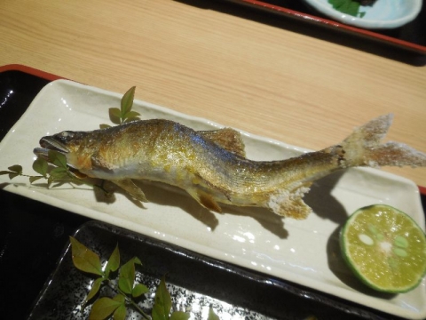 香魚 (12)