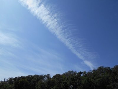 今日の空　飛行機雲が出始めました