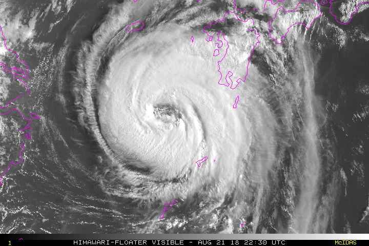 2018年 台風19号 リアルタイム衛星画像