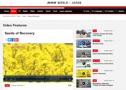 菜の花pj_NHK_WORLD-JAPAN