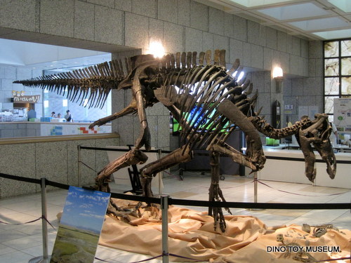 恐竜ミュージアム in ちば