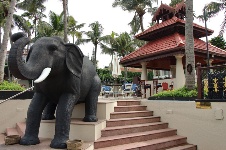 171201_Vivanta-Taj-Malabar_Elephant.jpg