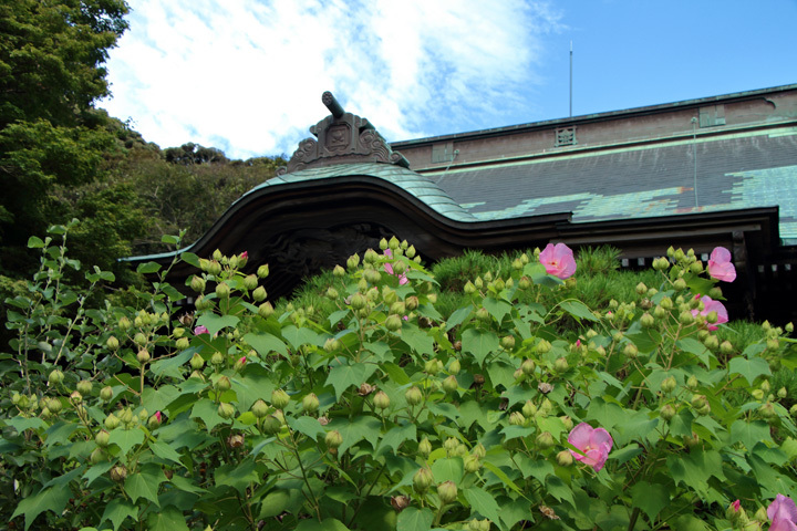 180908_Myohoji-Temple.jpg