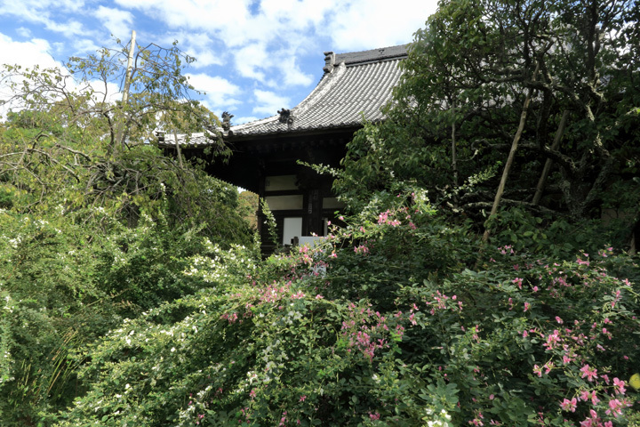 180923_Hokaiji-Temple-Hondo.jpg