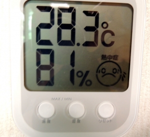 08.21温度計