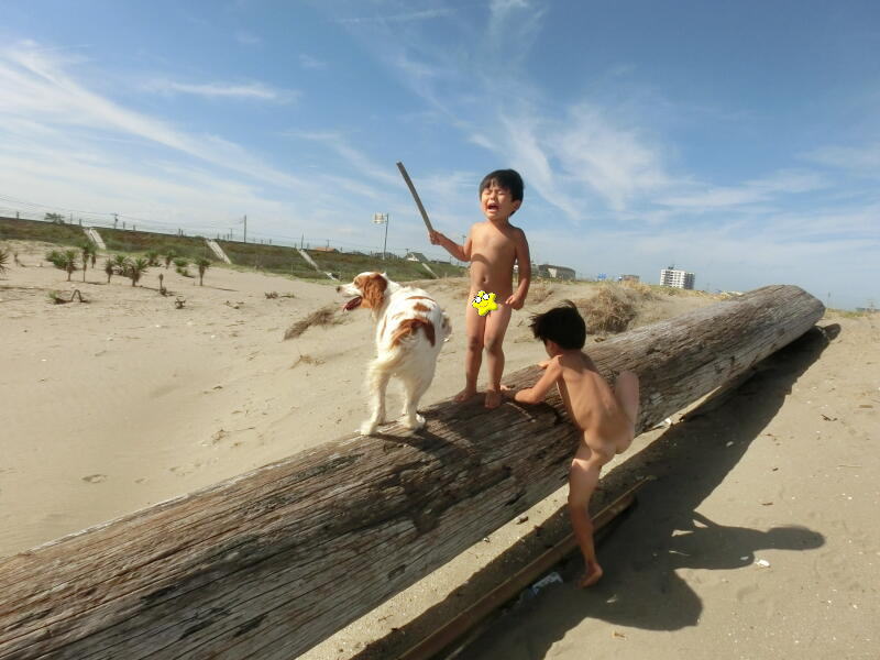 海で遊ぶ犬と子ども