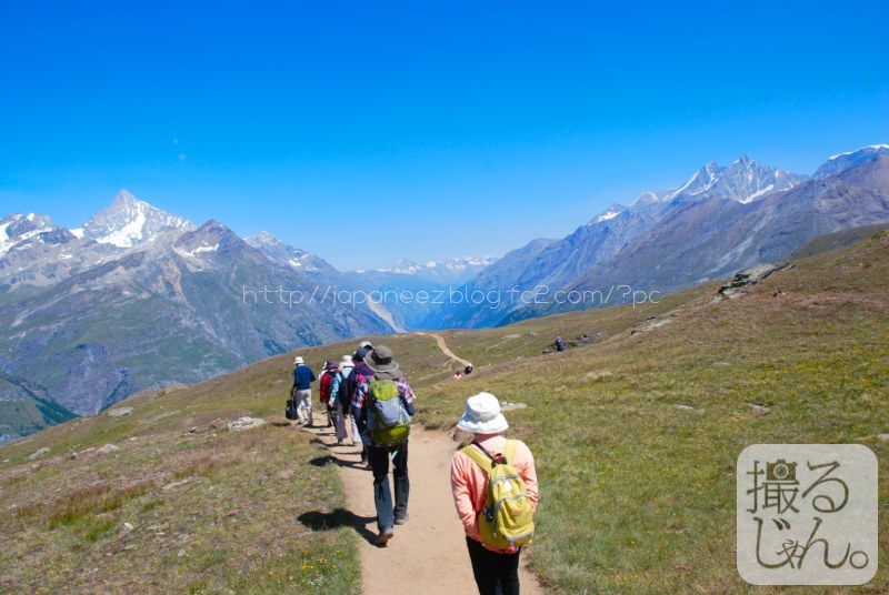 #swiss #switzerland #europeAlps #matterhorn #highland #highSeason #summerSeason #trailCourse #trekking #hiking #resortTourism #discoveryChannel #nationalGeographic #tripAdvisor #backPackers #awesome #picOfTheDay #greatNature #iLoveNature #スイス #夏山登山 #トレッキングコース #トレイルコース #ハイキング #マッターホルン #高原リゾート #今日の一枚 #インスタ映え #instagenic #photogenic 