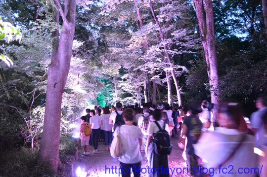 20180822下鴨神社糺の森光の祭