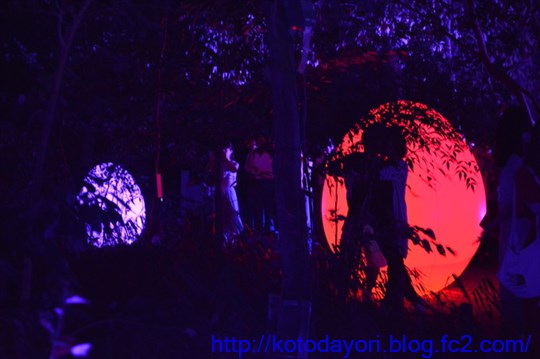 20180822下鴨神社糺の森光の祭