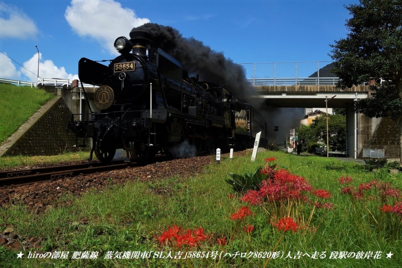 hiroの部屋　肥薩線　蒸気機関車「ＳＬ人吉」58654号（ハチロク8620形）人吉へ走る 段駅の彼岸花