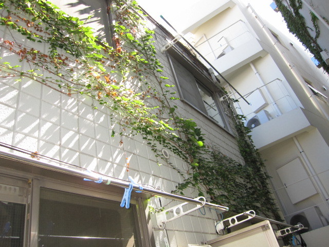 東京都杉並区　２階建てアパート共用部定期清掃＆草取り　ツタ撤去　作業前　１