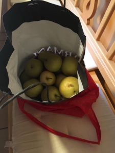 そしてお土産に こんなにたくさんの梨をもらって帰ってきたというわけです。