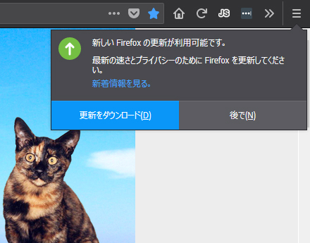 Mozilla Firefox 62.0 Beta 17