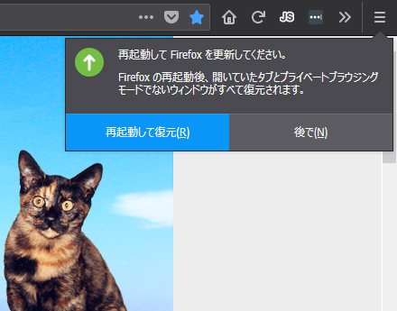 Mozilla Firefox 62.0 Beta 17
