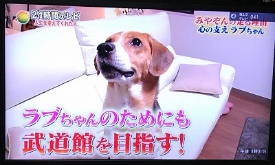 s-24時間テレビ